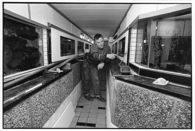 406752 Afbeelding van Wim Uilenbroek bij zijn Marinarium (zee-aquarium) onder zijn woning aan de St. Gotthard te Utrecht.